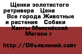 Щенки золотистого ретривера › Цена ­ 15 000 - Все города Животные и растения » Собаки   . Ханты-Мансийский,Мегион г.